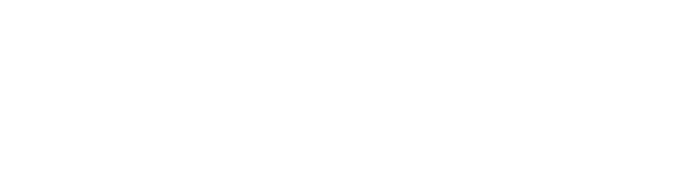 Computer system's literate